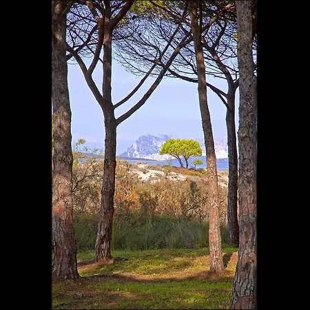 Aparthotel Residenze Mare E Pineta Budoni