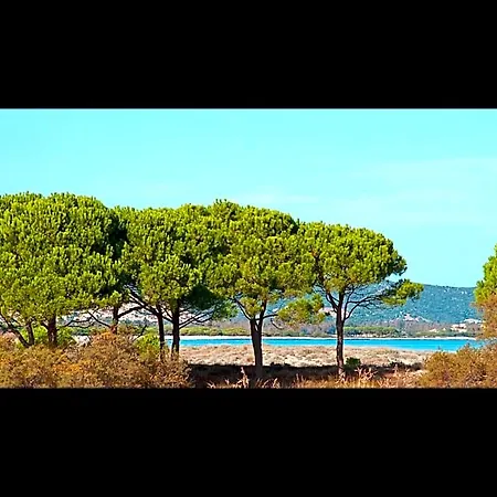 Residenze Mare E Pineta 3*