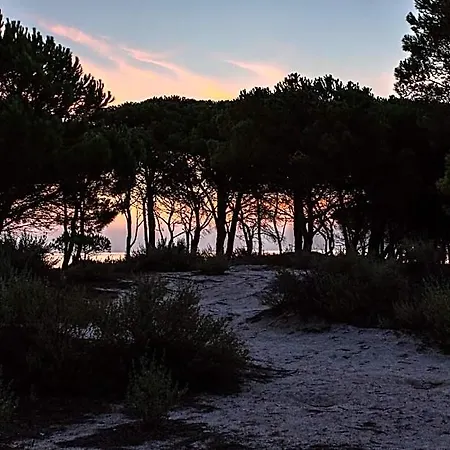 Residenze Mare E Pineta 3* Budoni
