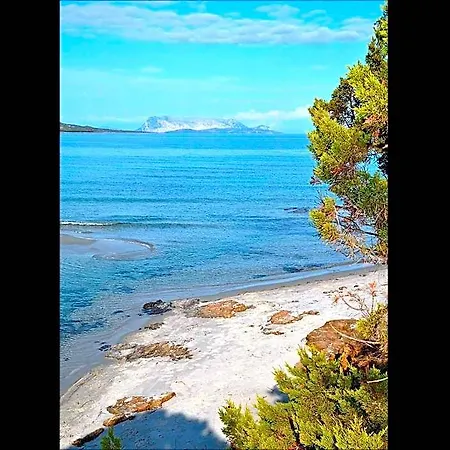 Residenze Mare E Pineta