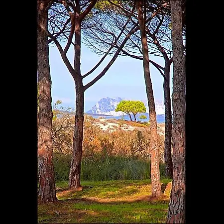 Lejlighedshotel Residenze Mare E Pineta Budoni