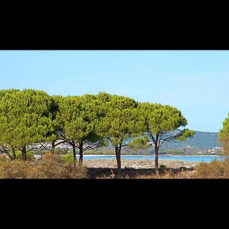 شقة فندقية Residenze Mare E Pineta بودوني