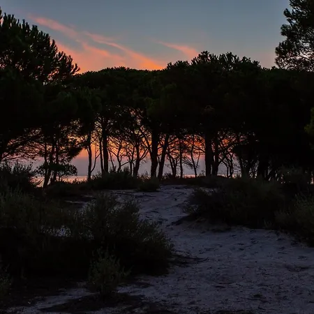 Residenze Mare E Pineta 3* بودوني